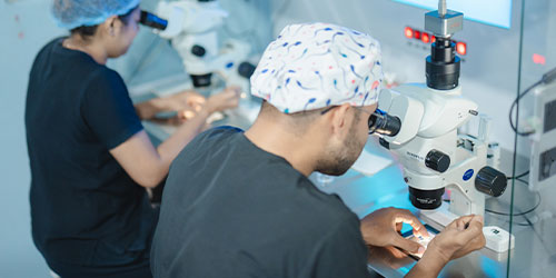 Embryo Genetic Viability